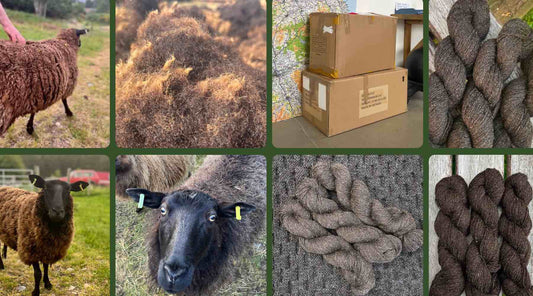 Breaking Down the Cost of Our Scottish Wool