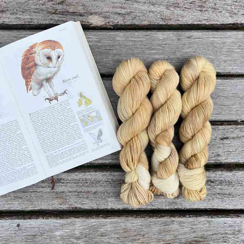 The Barn Owl