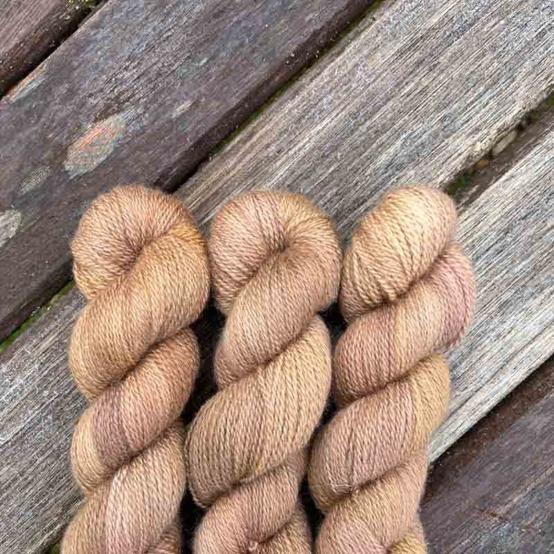 Acorn