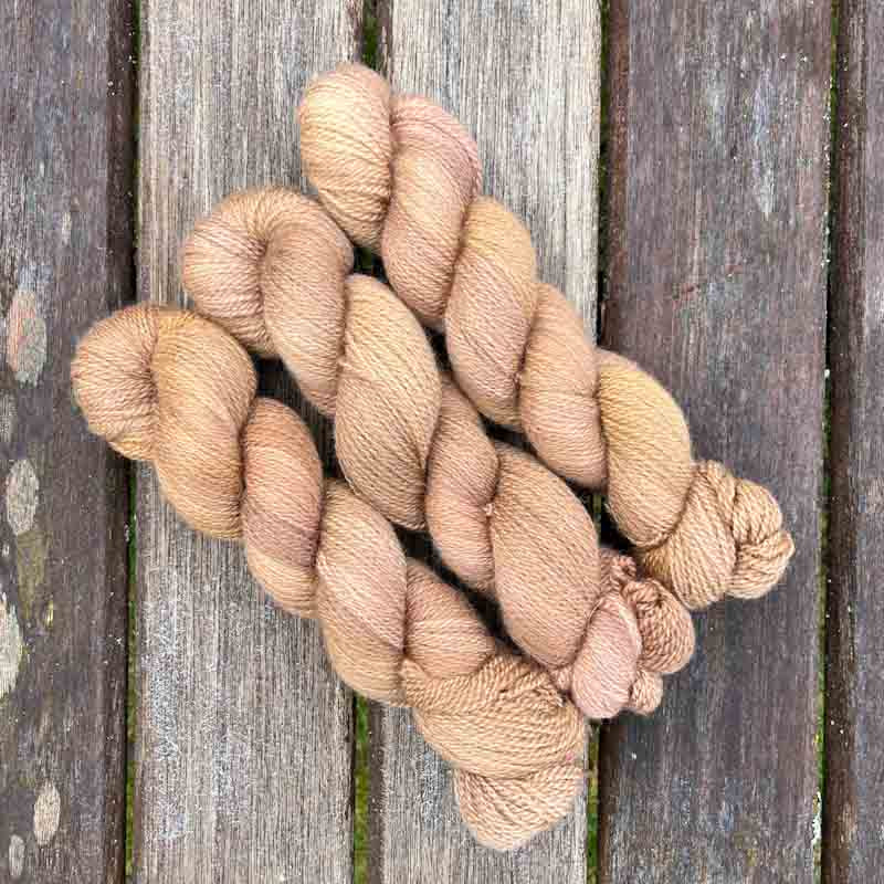 Acorn