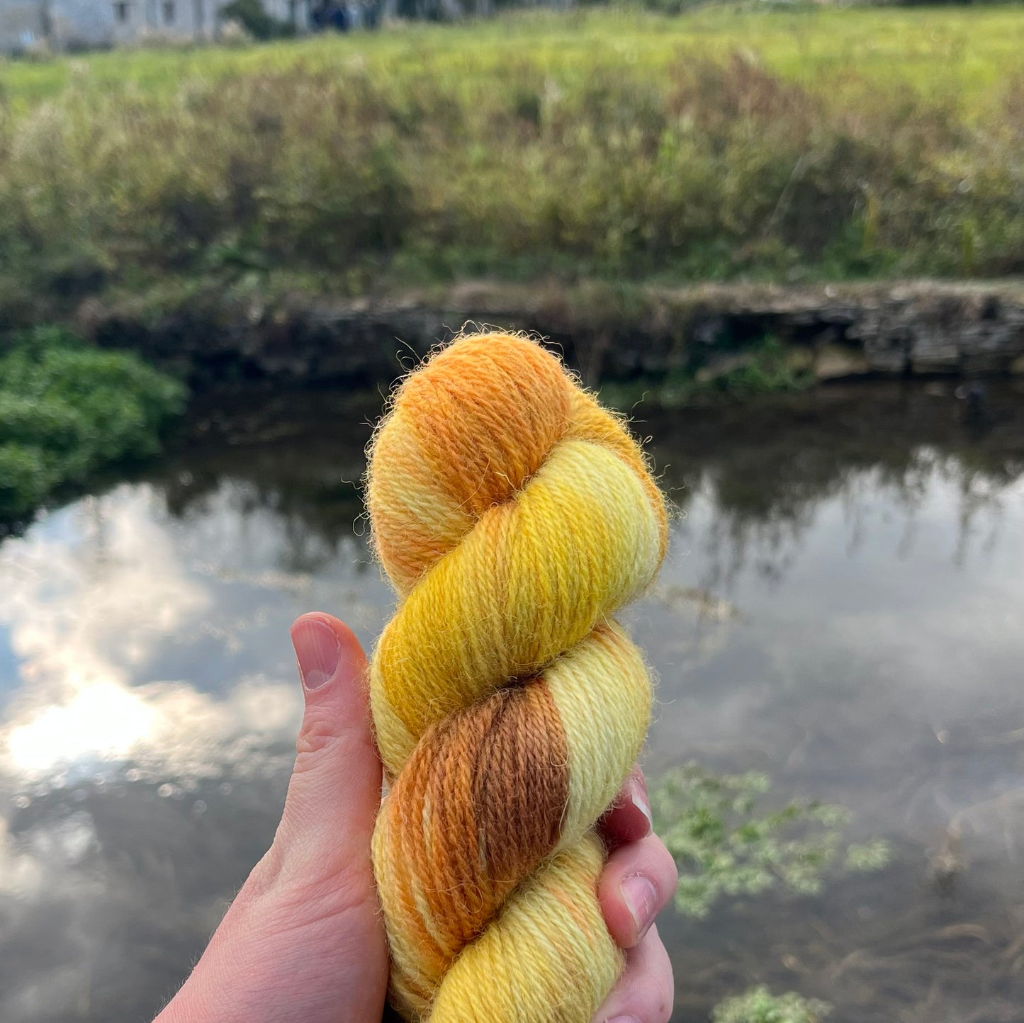 A white hand holds a skein of variegated golden yarn in front of a pretty village background.