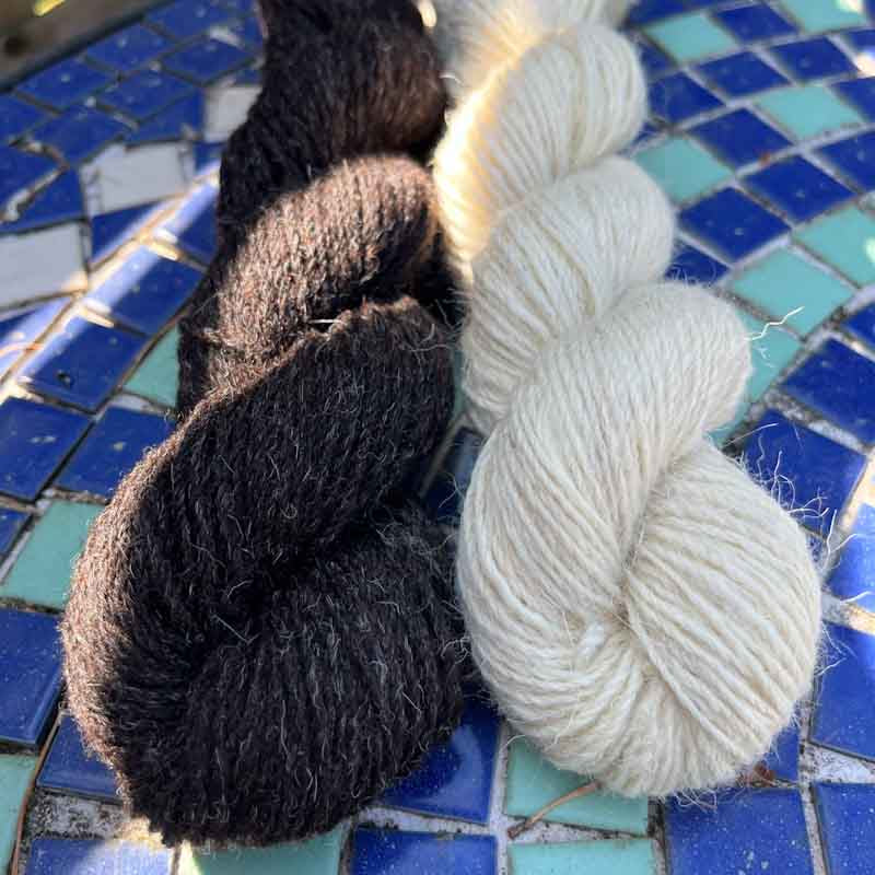 100% Scottish Wool - 2021/22